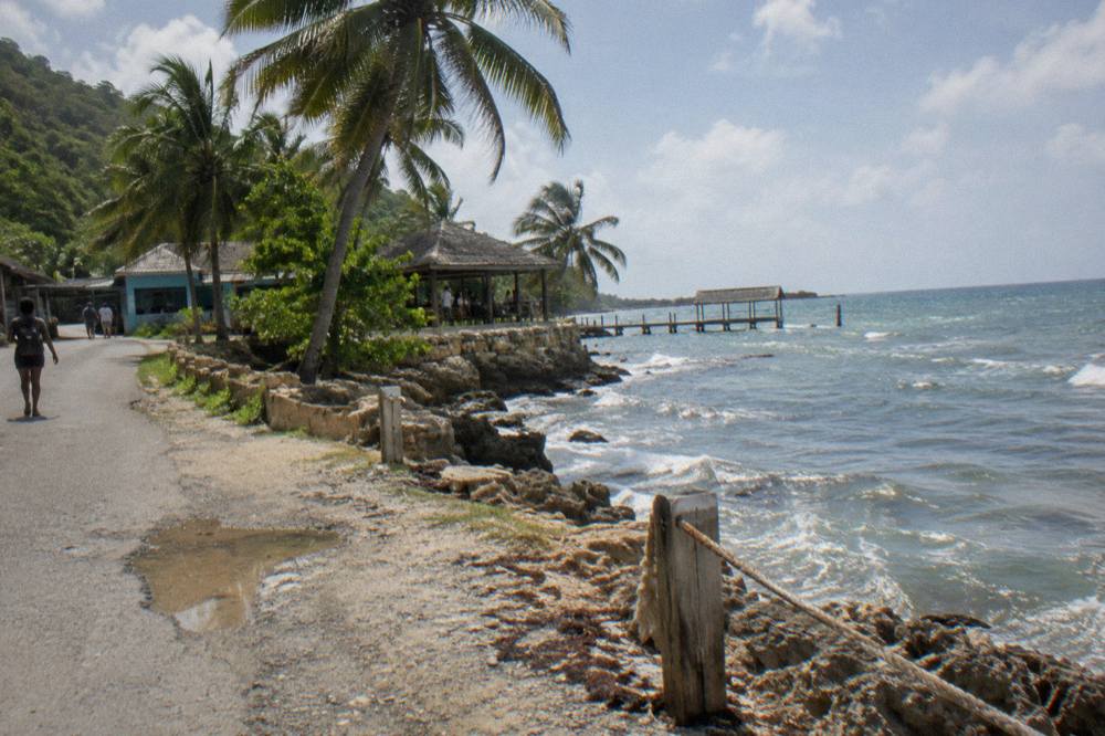 Coastal road winding along the shoreline with palm trees and calm blue sea