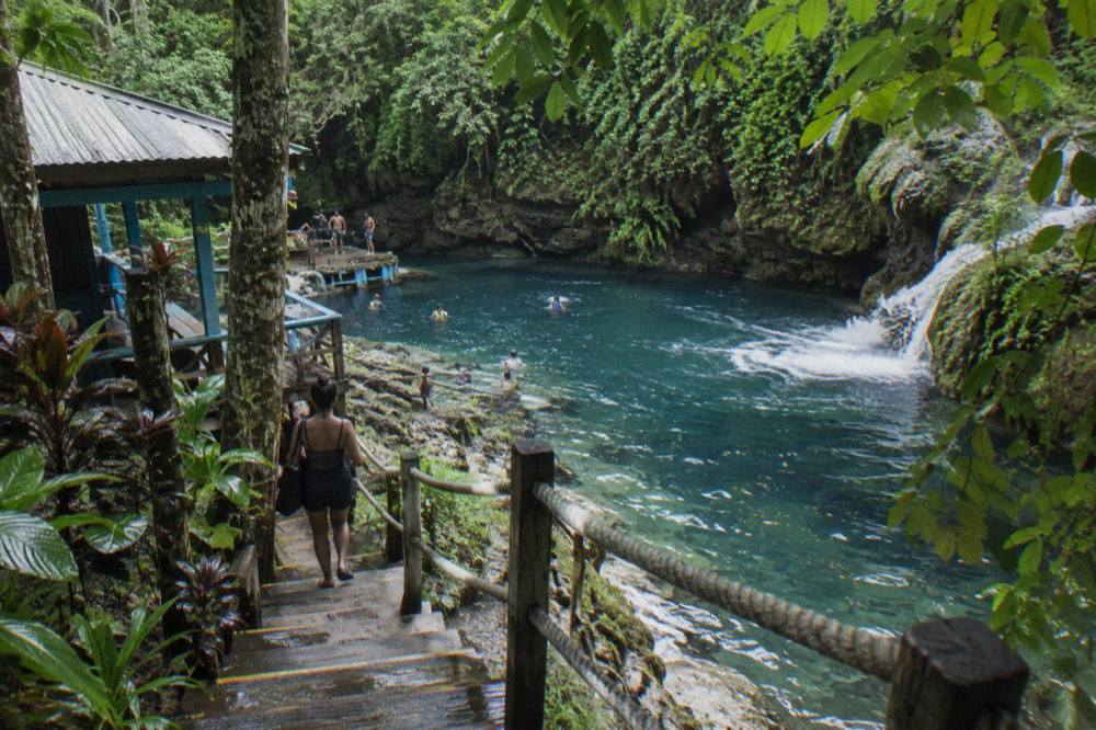 Wooden steps and railings descending through dense green jungle toward a waterfall pool