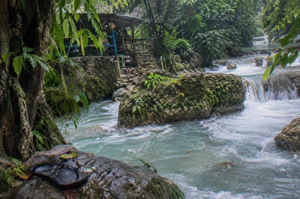 Waterfall rushing between mossy rocks under a dense tropical canopy after rain