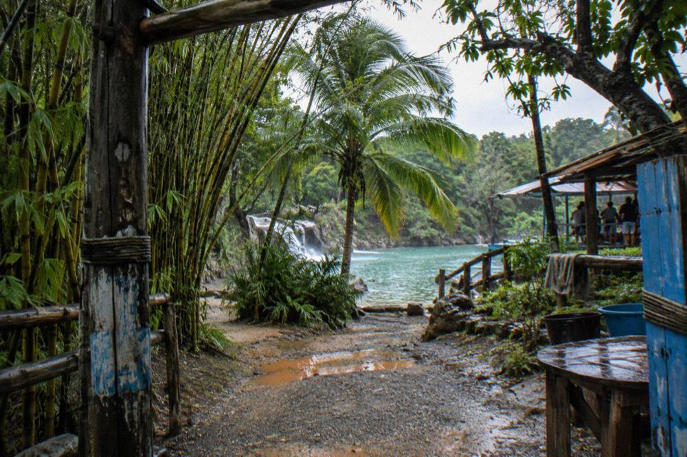 Wooden sign marking a waterfall park entrance among tropical trees
