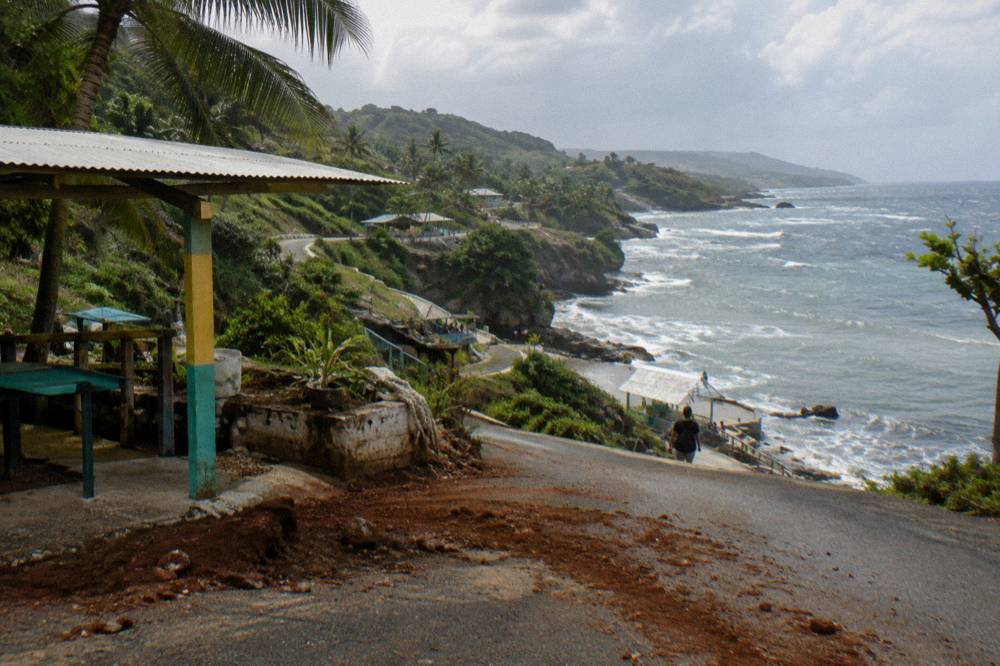 Winding coastal road with palm trees and hills along the Jamaican shoreline