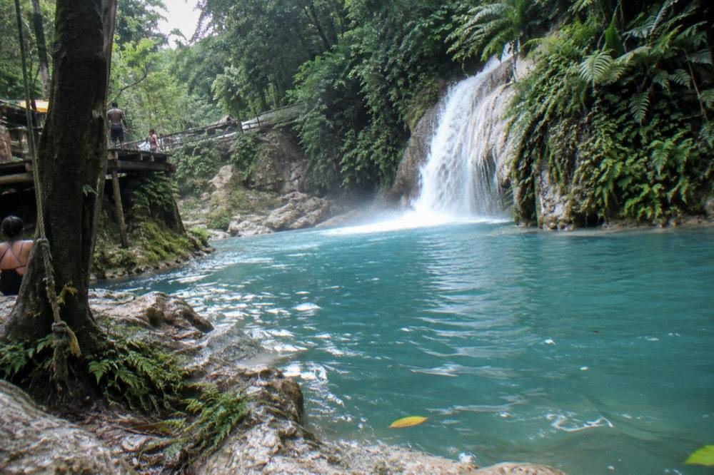 Sunlight reaching a calm turquoise pool ringed by ferns in early morning