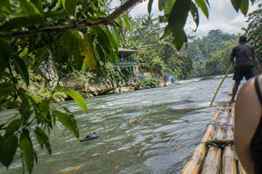 Bamboo raft floating on a calm green river between overhanging trees