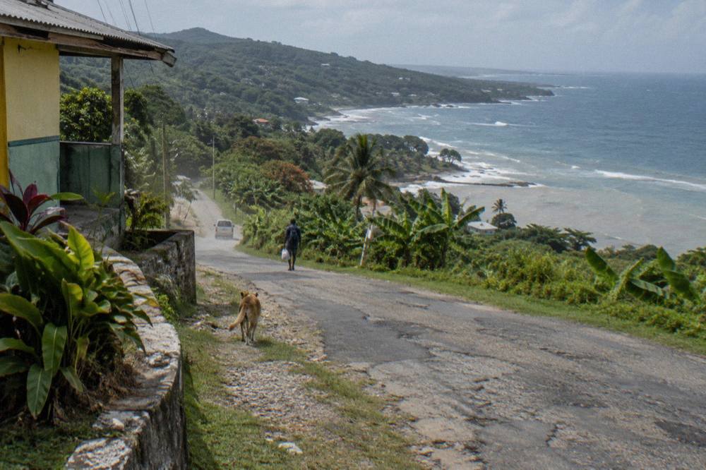Rural Jamaican road winding through green hills toward the waterfall area