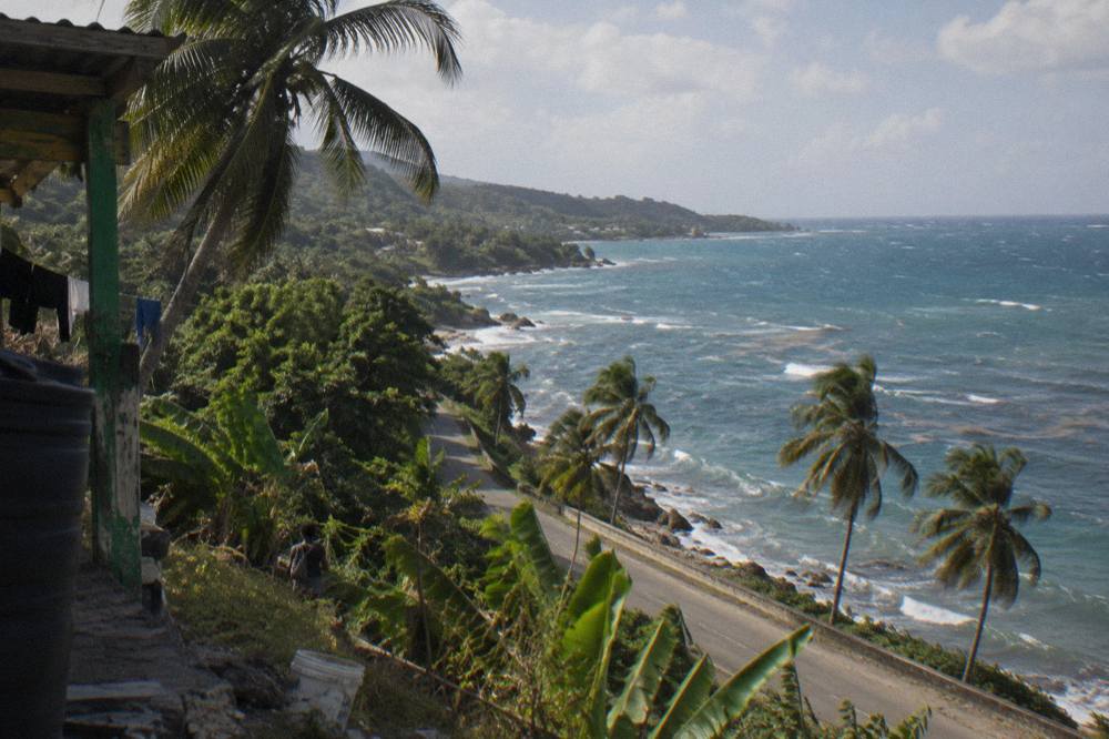 Coastal road with palm trees and blue Caribbean water seen from a hillside