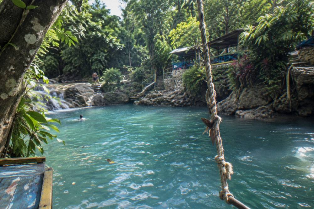 Rope swing line hanging from jungle canopy over a clear blue pool