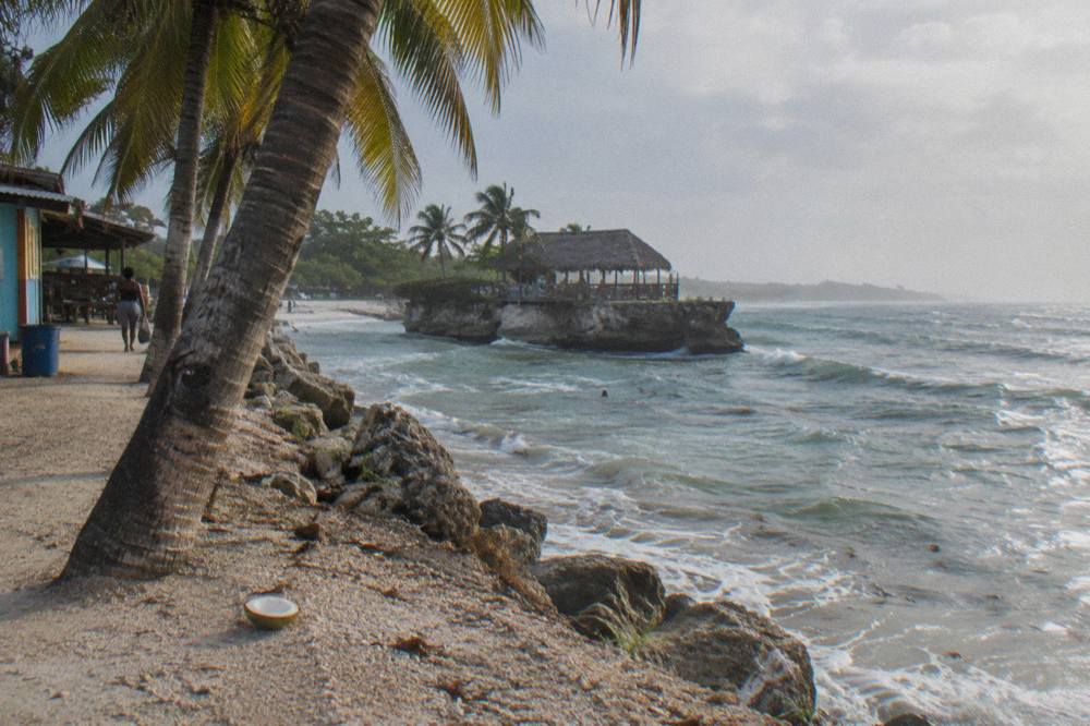 Coastal road with palm trees along the journey from Negril toward the north coast of Jamaica