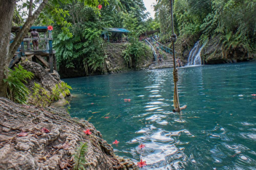A turquoise swimming hole beneath a small jungle waterfall with rope swing hanging over the water