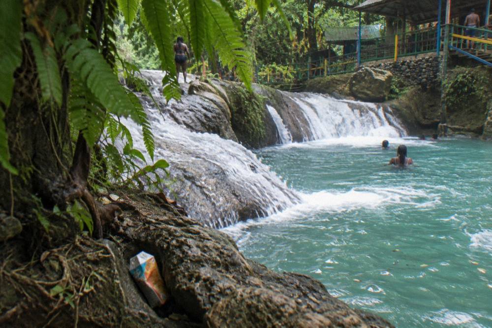 Turquoise waterfall pool framed by ferns and jungle vegetation