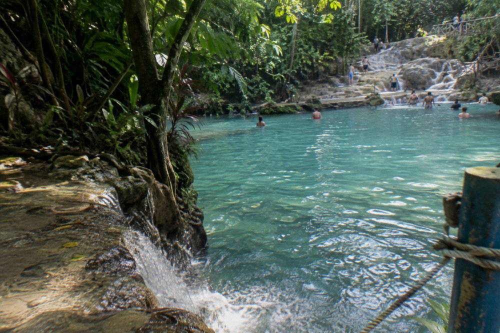Small waterfall emptying into a clear swimming hole in the rainforest