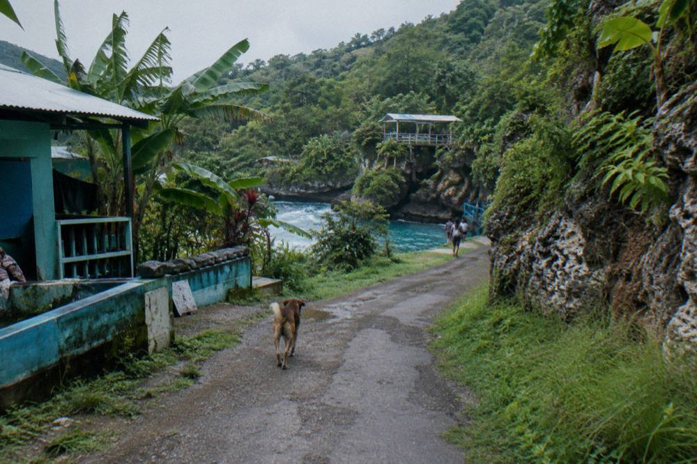 Winding rural road through green hills on the drive to Island Gully Falls