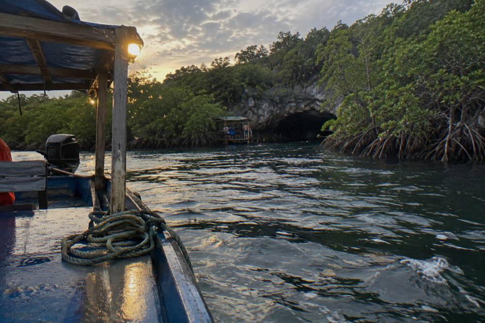 Wooden tour boat on calm dark water at dusk near mangroves