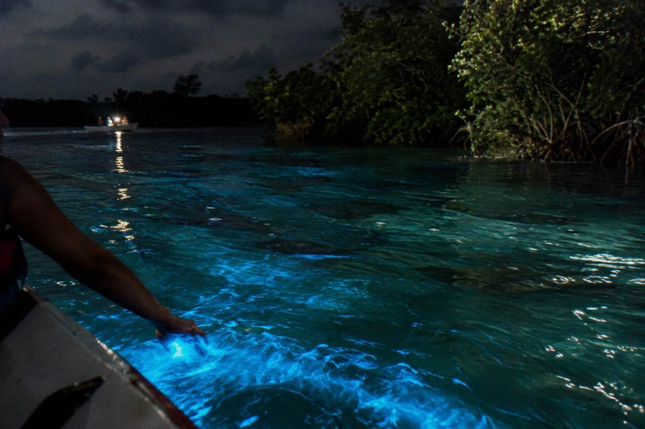 Glowing turquoise bioluminescent water along a dark Jamaican shoreline at night